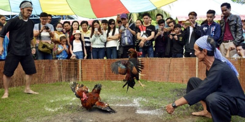 Lối ra đòn là yếu tố thể hiện rõ phong cách thi đấu của từng chiến kê